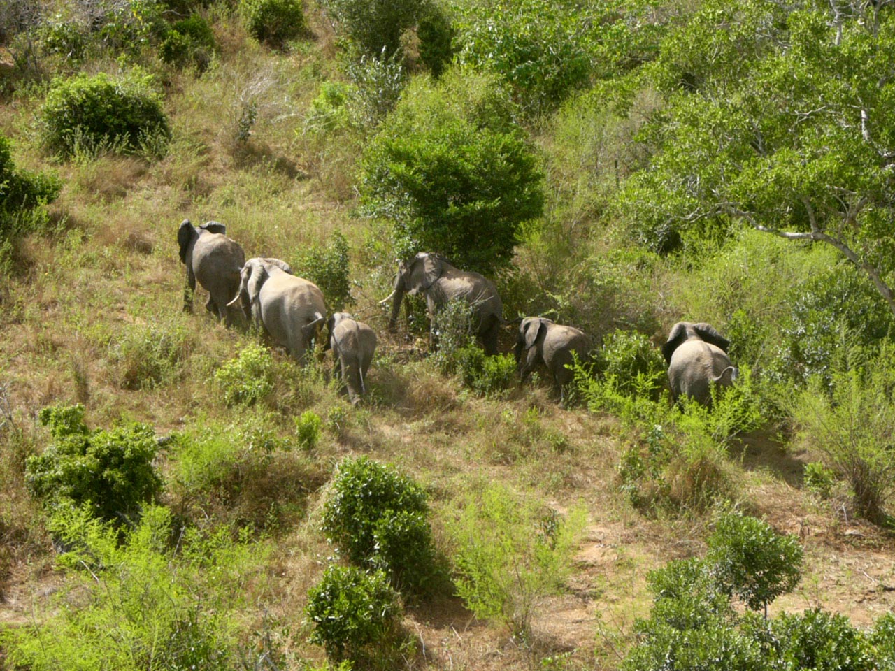Shimba Hills National Reserve